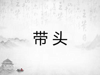 带头 带头