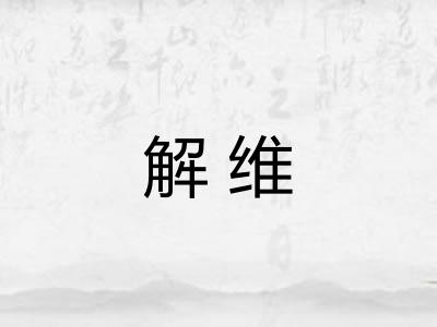 解维 解维