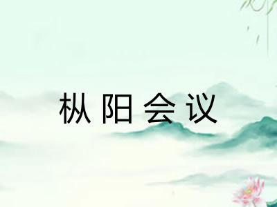 枞阳会议 枞阳会议