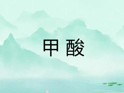 甲酸 甲酸