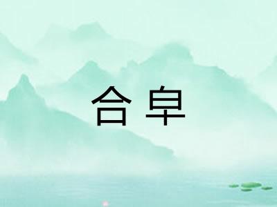 合皁 合皁