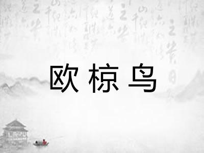 欧椋鸟 欧椋鸟