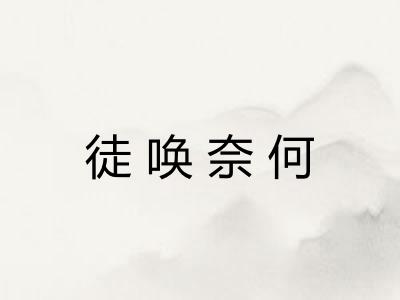 徒唤奈何 徒唤奈何