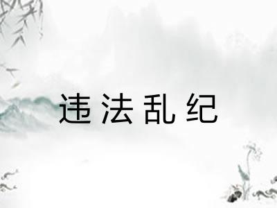 违法乱纪 违法乱纪