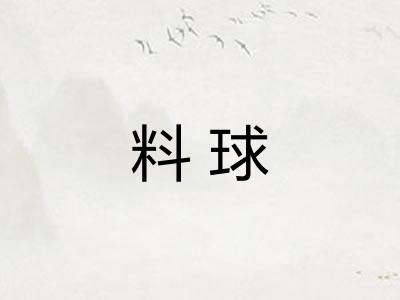 料球 料球
