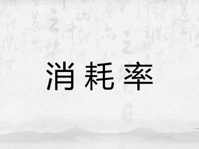 消耗率 消耗率