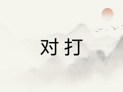 对打