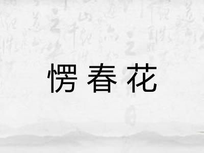 愣春花 愣春花
