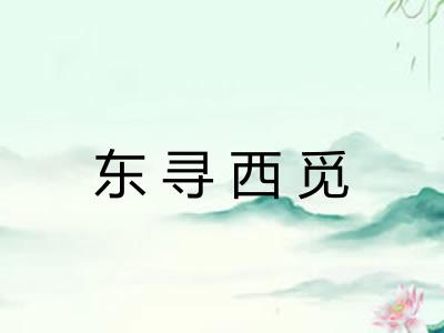 东寻西觅 东寻西觅