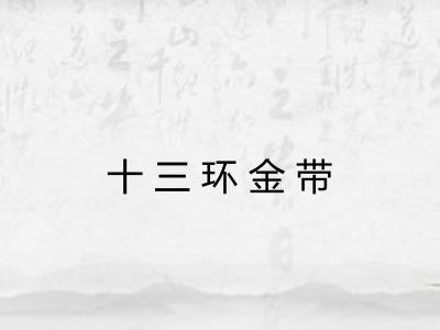 十三环金带