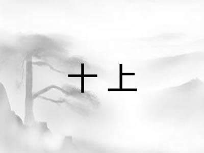 十上 十上