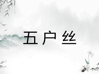 五户丝 五户丝