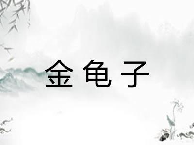 金龟子 金龟子