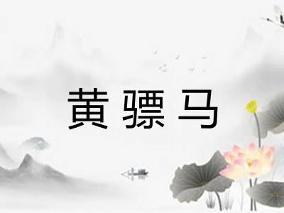 黄骠马 黄骠马