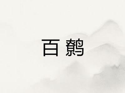 百鹩