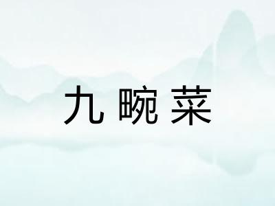 九畹菜