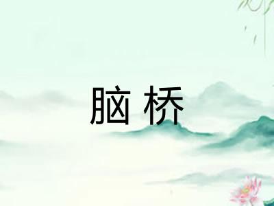 脑桥 脑桥