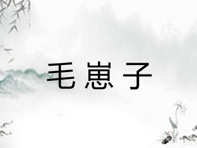 毛崽子