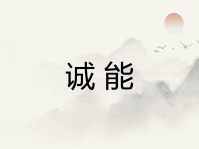 诚能 诚能
