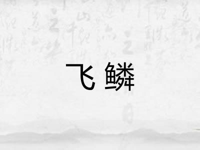 飞鳞 飞鳞