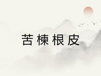 苦楝根皮 苦楝根皮