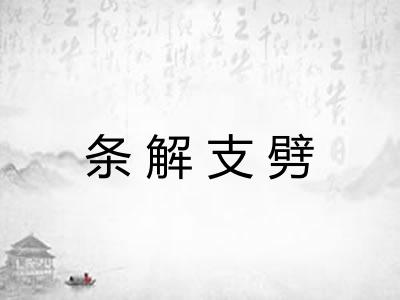 条解支劈 条解支劈