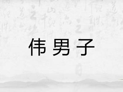伟男子 伟男子