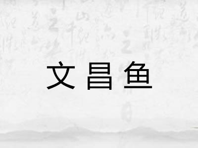 文昌鱼 文昌鱼