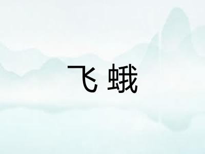 飞蛾 飞蛾