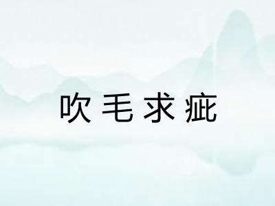 吹毛求疵 吹毛求疵