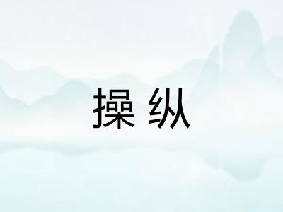 操纵 操纵