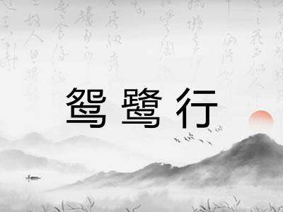 鸳鹭行 鸳鹭行