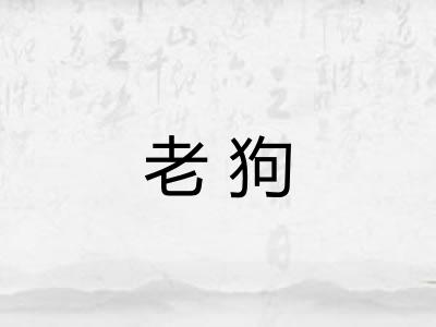 老狗 老狗