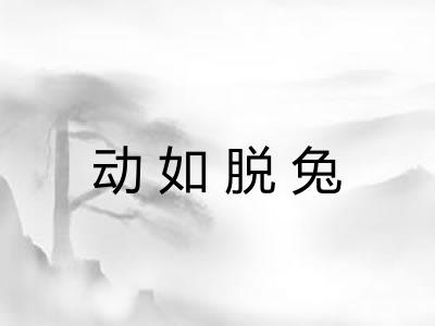 动如脱兔