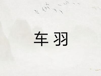 车羽 车羽