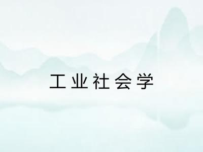 工业社会学 工业社会学