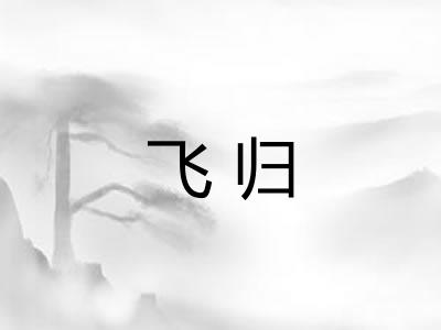 飞归 飞归