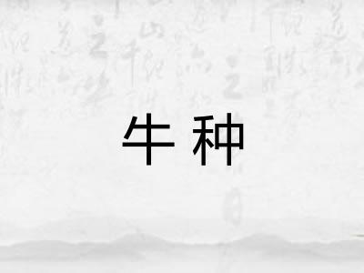 牛种 牛种
