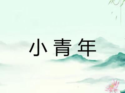 小青年
