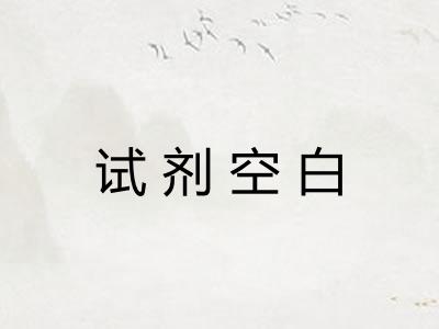 试剂空白 试剂空白