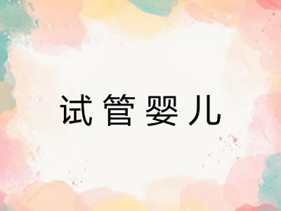 试管婴儿 试管婴儿