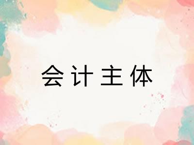 会计主体 会计主体