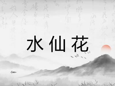 水仙花 水仙花