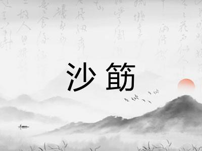 沙筯