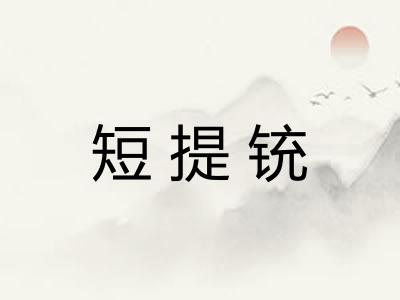 短提铳