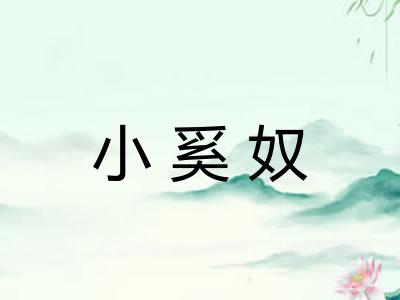 小奚奴