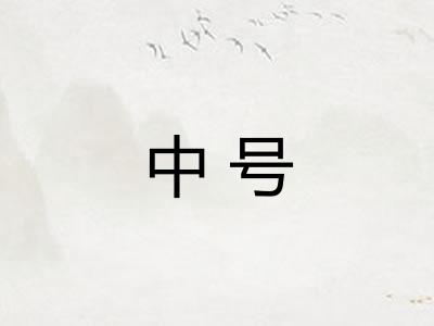 中号 中号