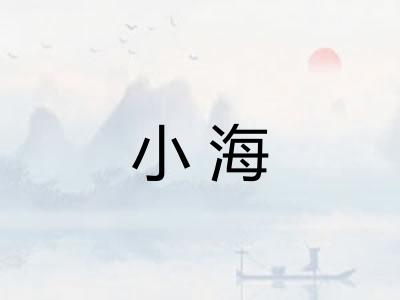 小海 小海