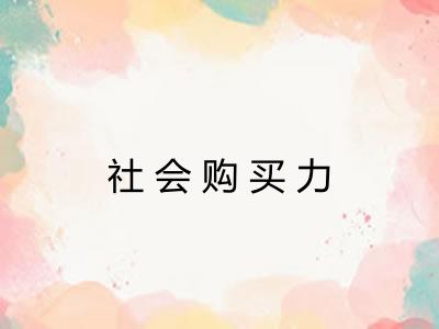 社会购买力 社会购买力