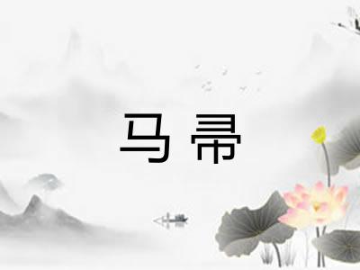 马帚